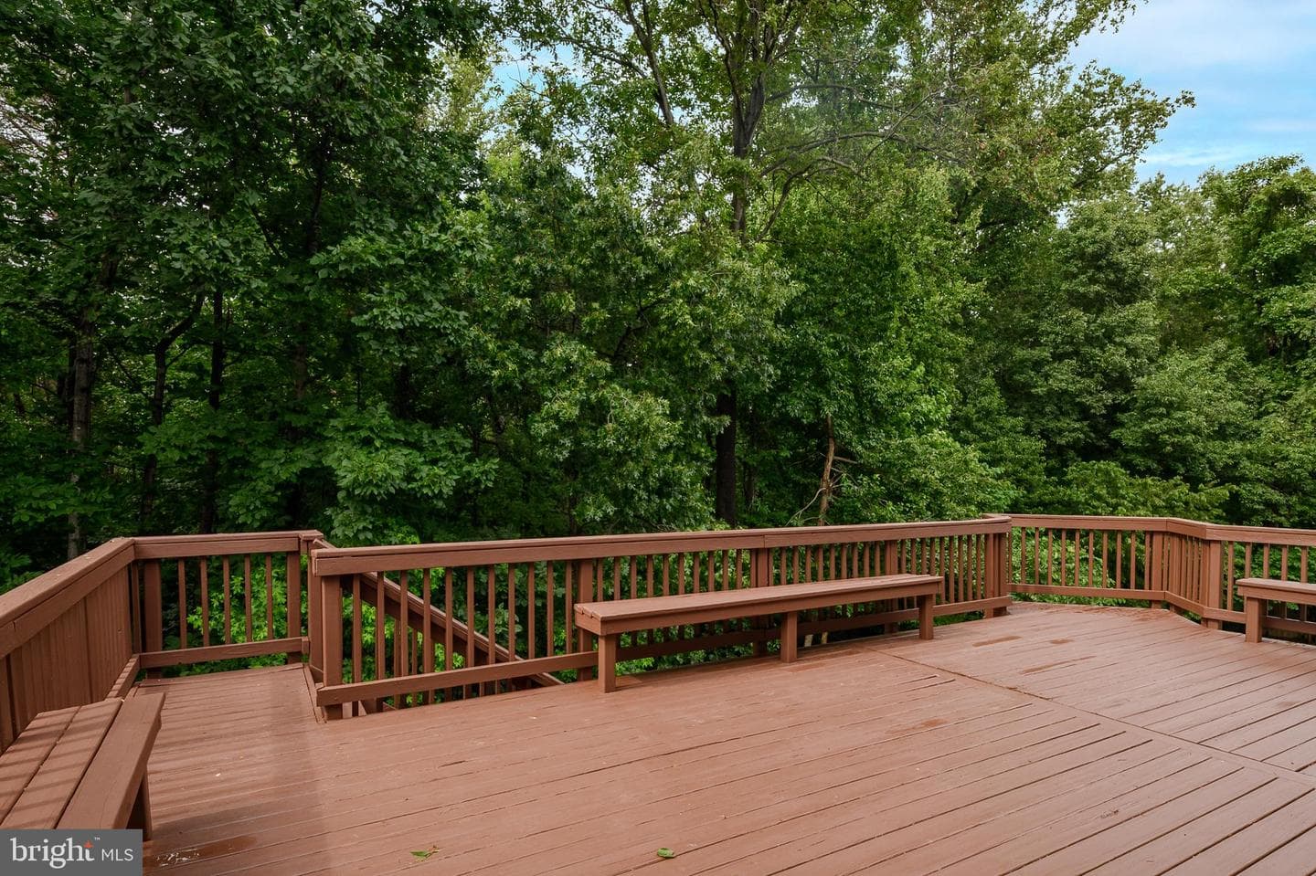 12700 Quarterhorse Drive photo 45
