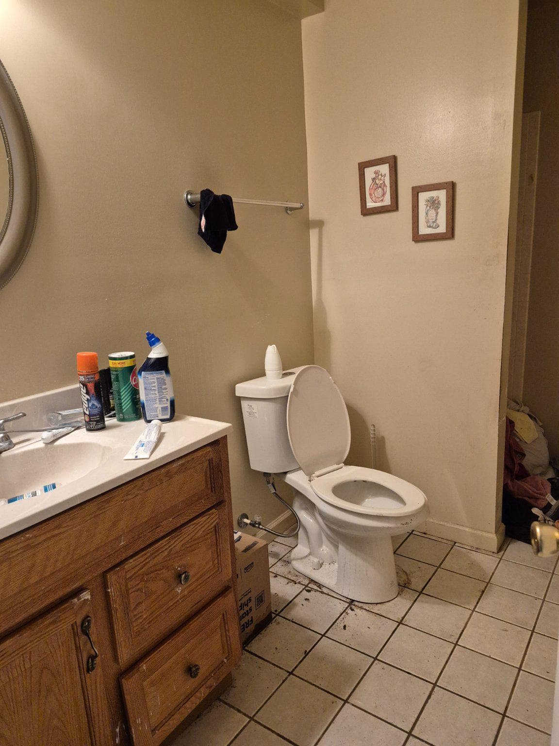 6127 Rose Bay Drive photo 3