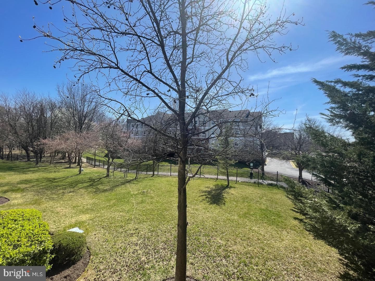8911 -C Town Center Circle #212 photo 11