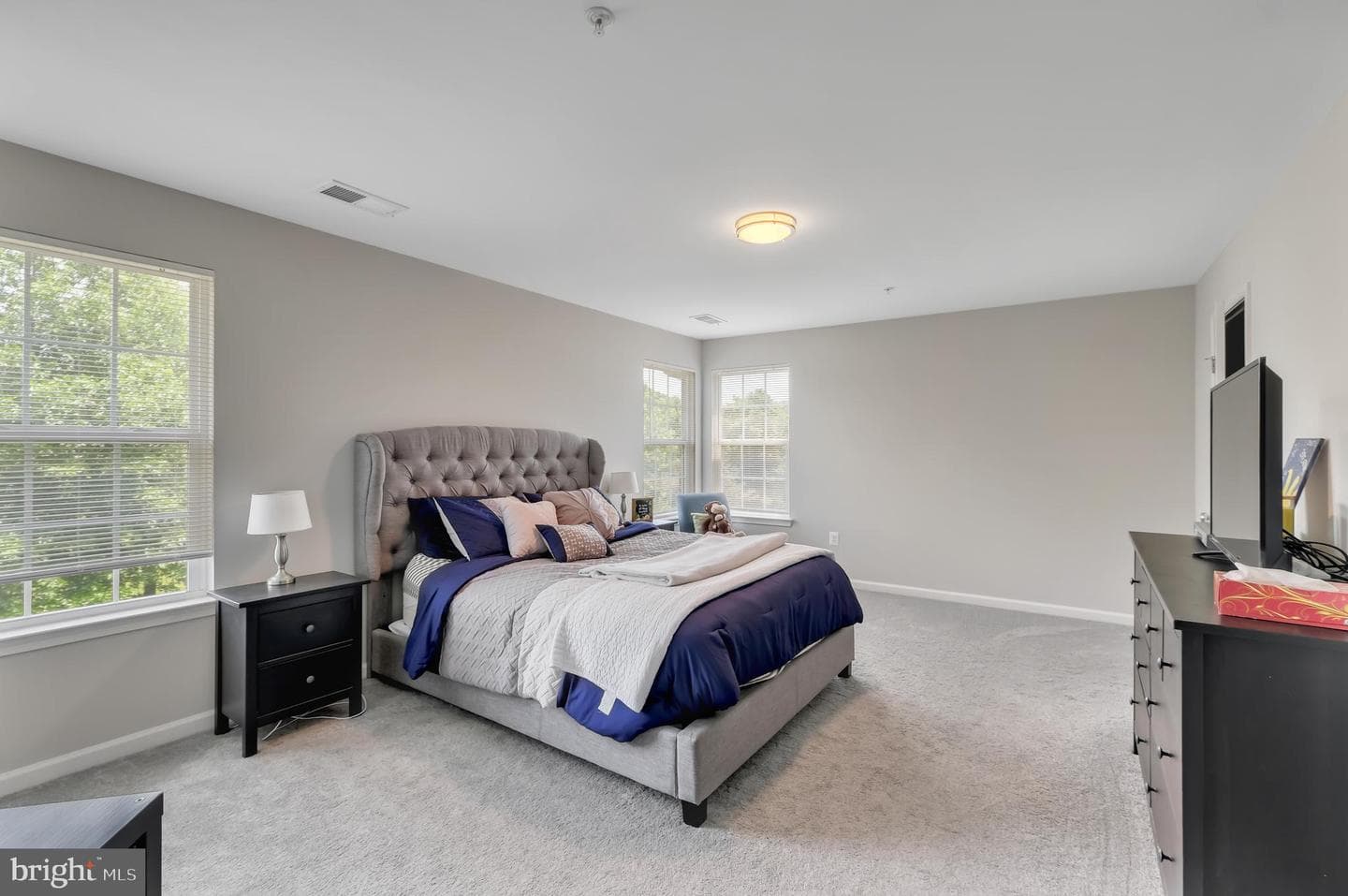 13509 Oaklands Manor Drive photo 23