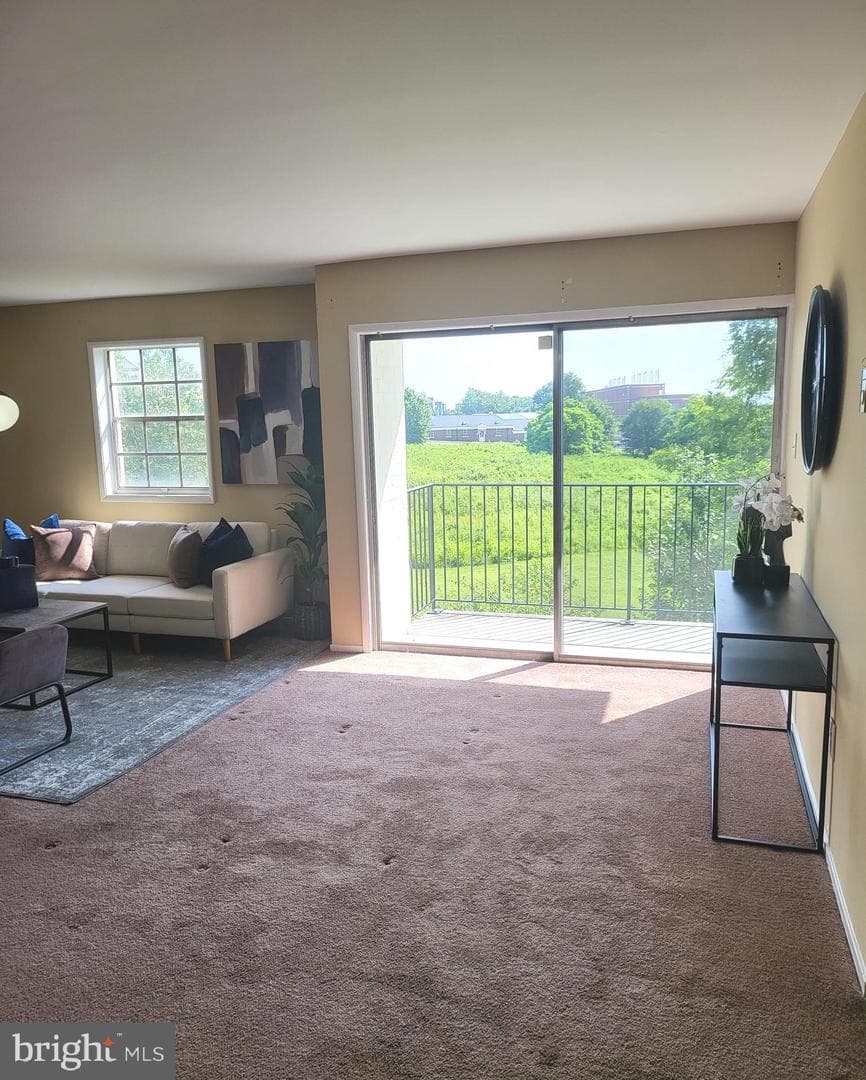 4513 Romlon Street #203 photo 10