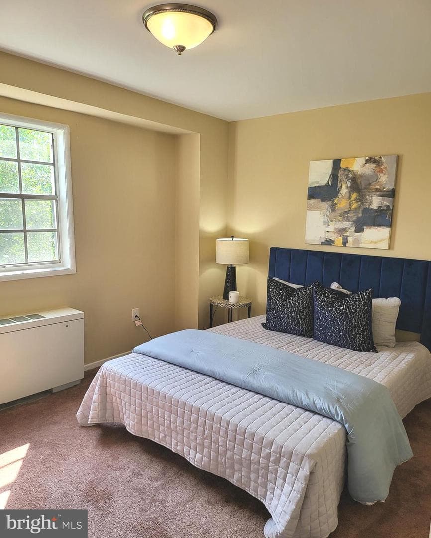 4513 Romlon Street #203 photo 13