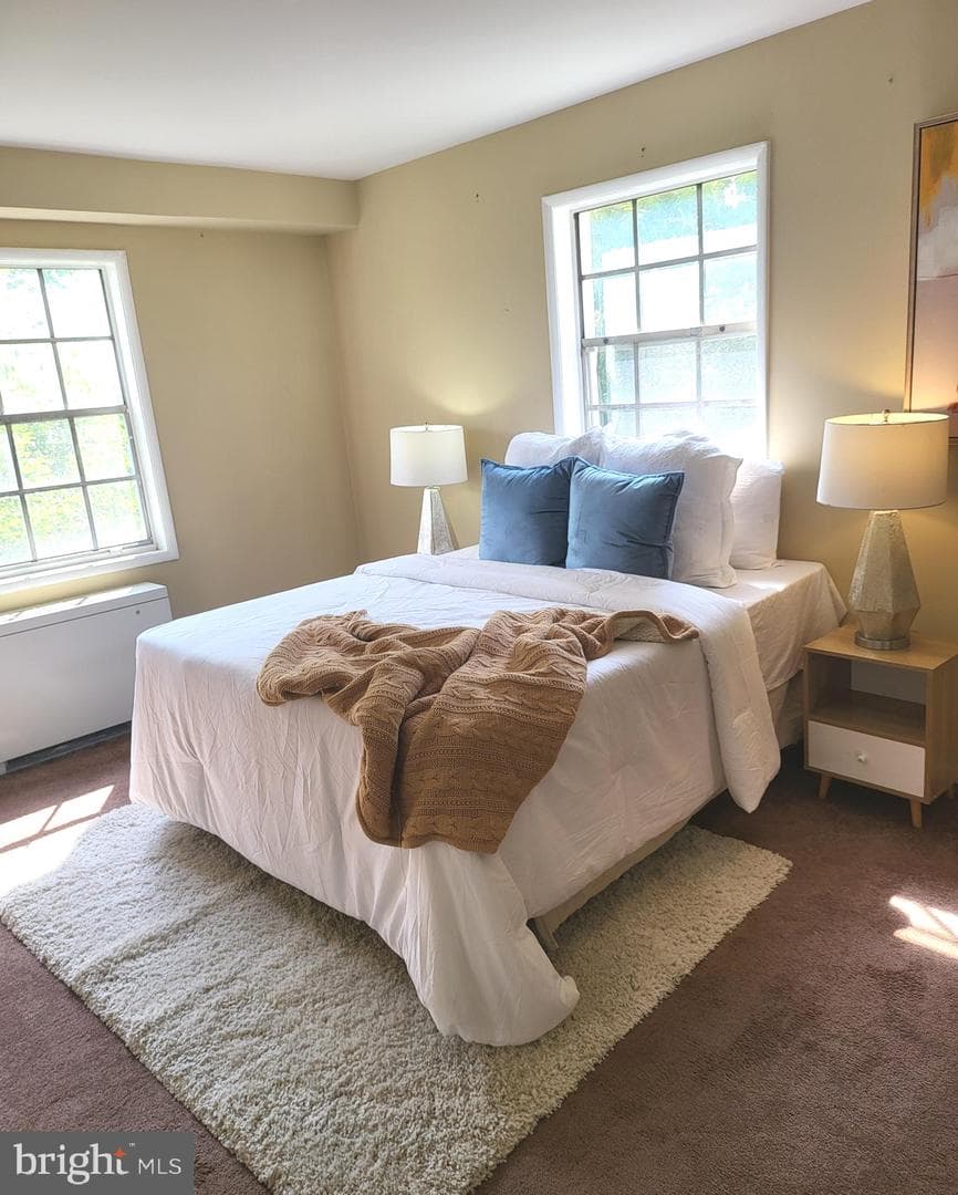 4513 Romlon Street #203 photo 19