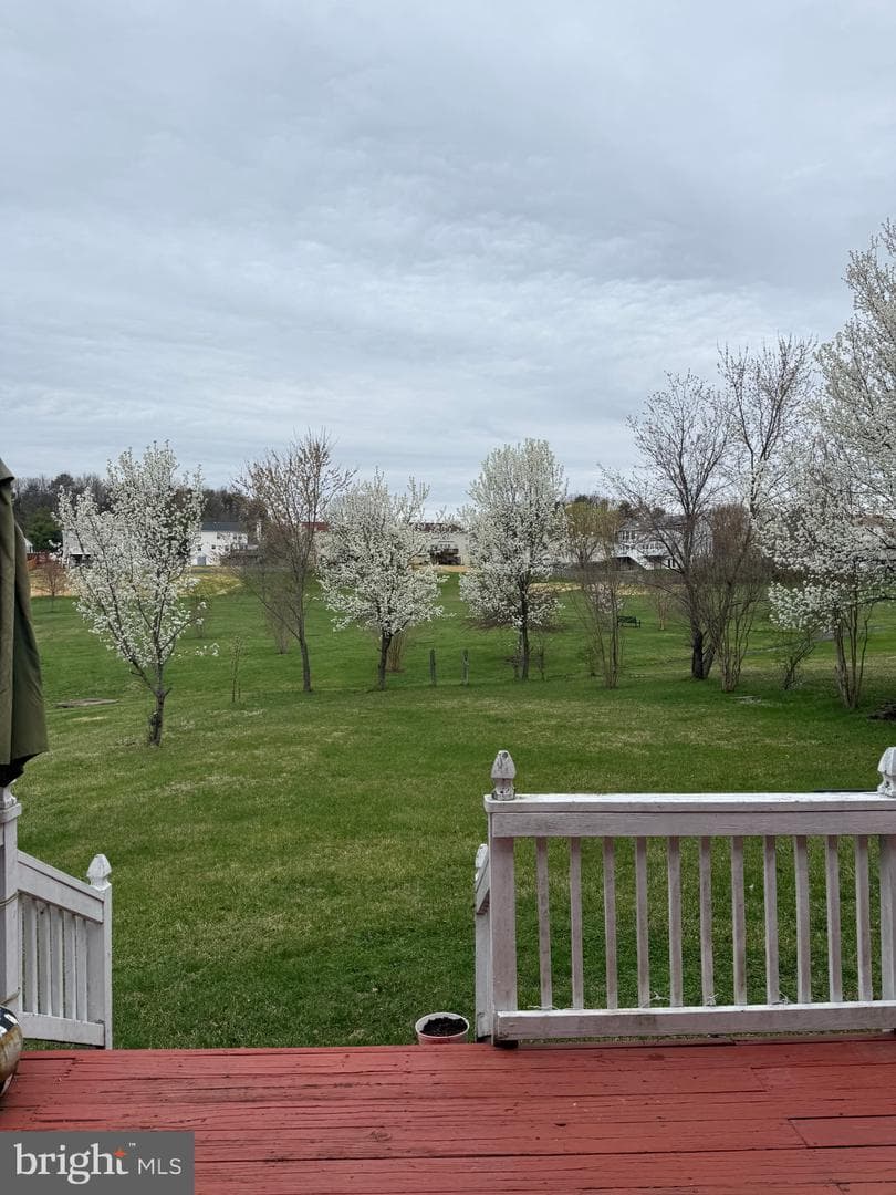12204 Stanfield Court photo 51