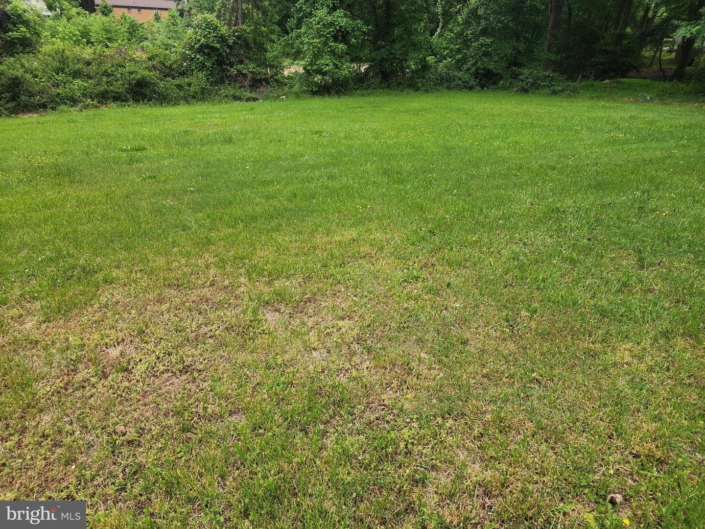 6208 Walton Avenue photo 3