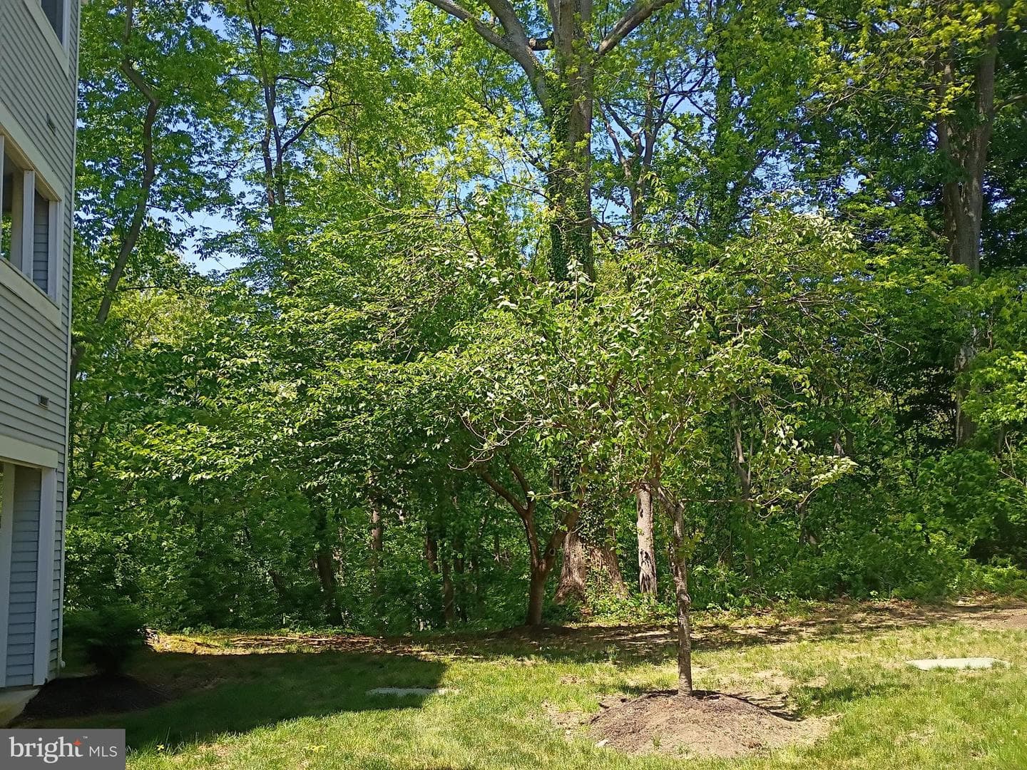 13560 Lord Sterling Place #9-4 photo 35