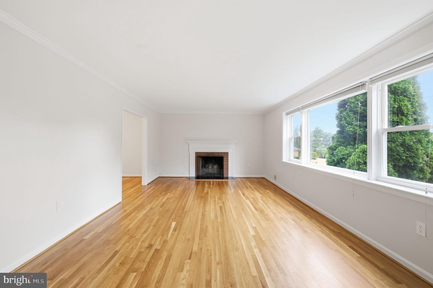 3517 Marlbrough Way photo 9