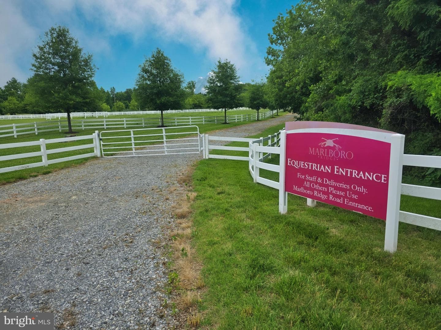 4518 Bridle Ridge Road photo 12