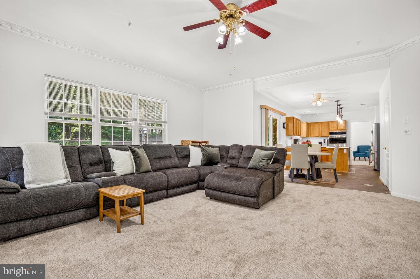 8705 Delphi Drive photo 13