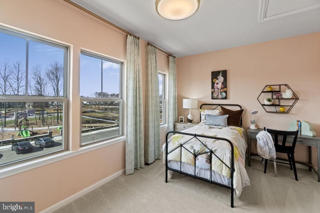 10959 Wheat Berry Drive photo 21