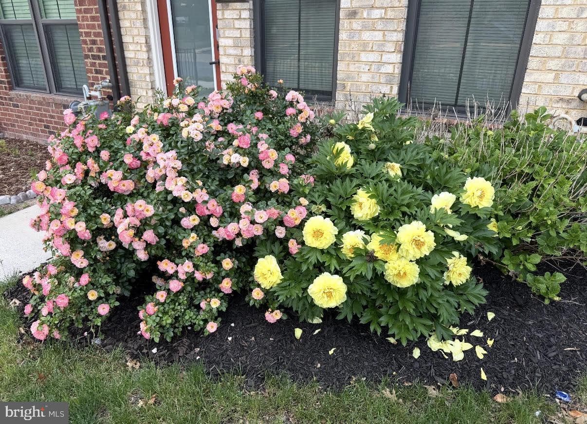6204 Editors Park Drive photo 40