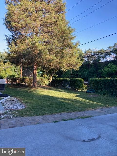 3600 Gramby Street photo 24