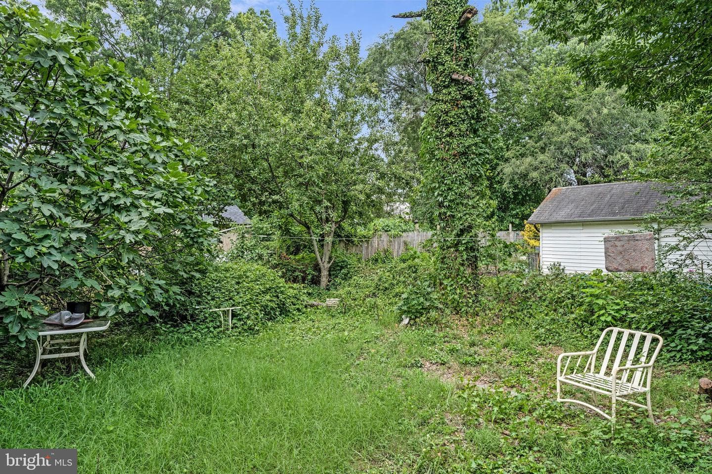3710 Shepherd Street photo 4