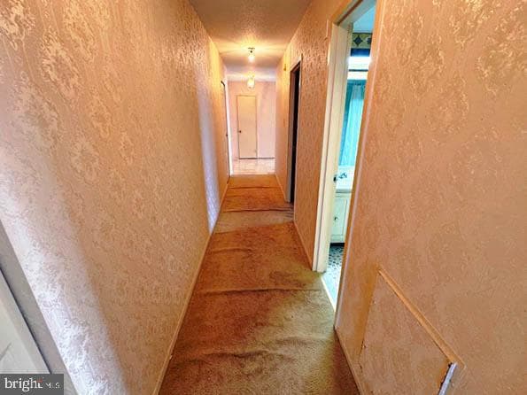 6100 Westchester Park Drive #1517 photo 7