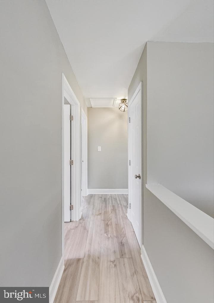 5923 Berwyn Road photo 11
