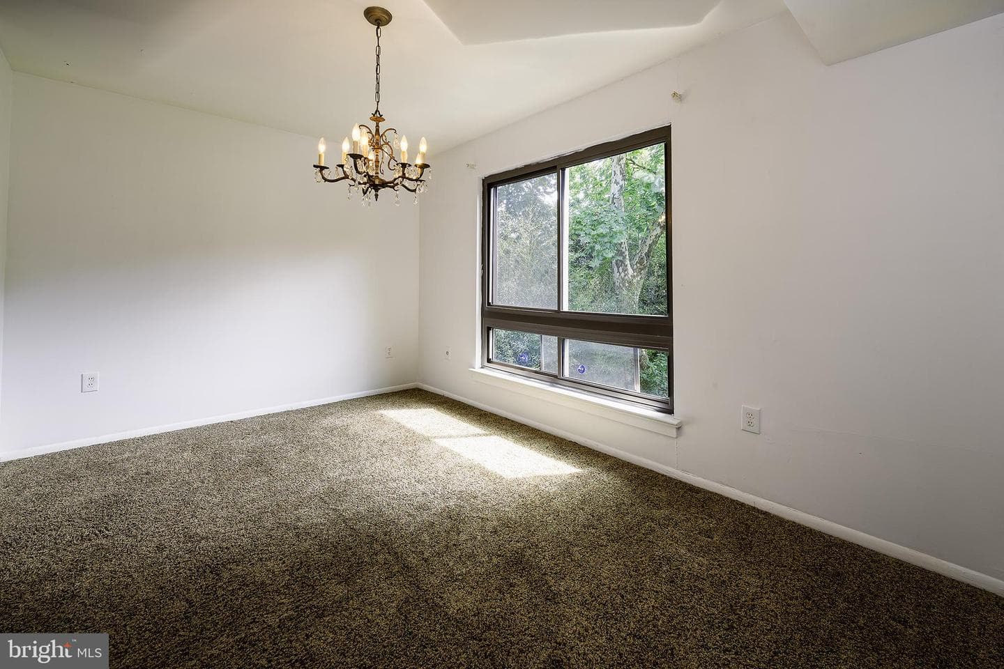 8419 Greenbelt Road #101 photo 8