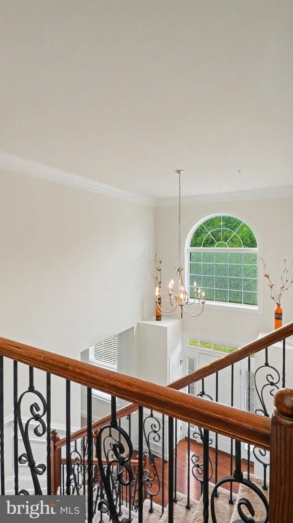 2700 Weary Creek Court photo 69