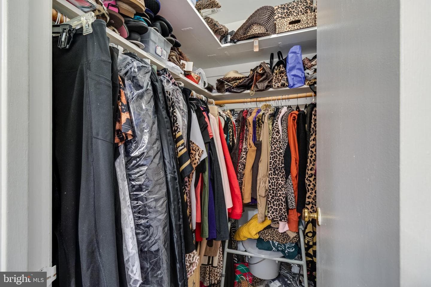 12817 Peace Drive photo 24