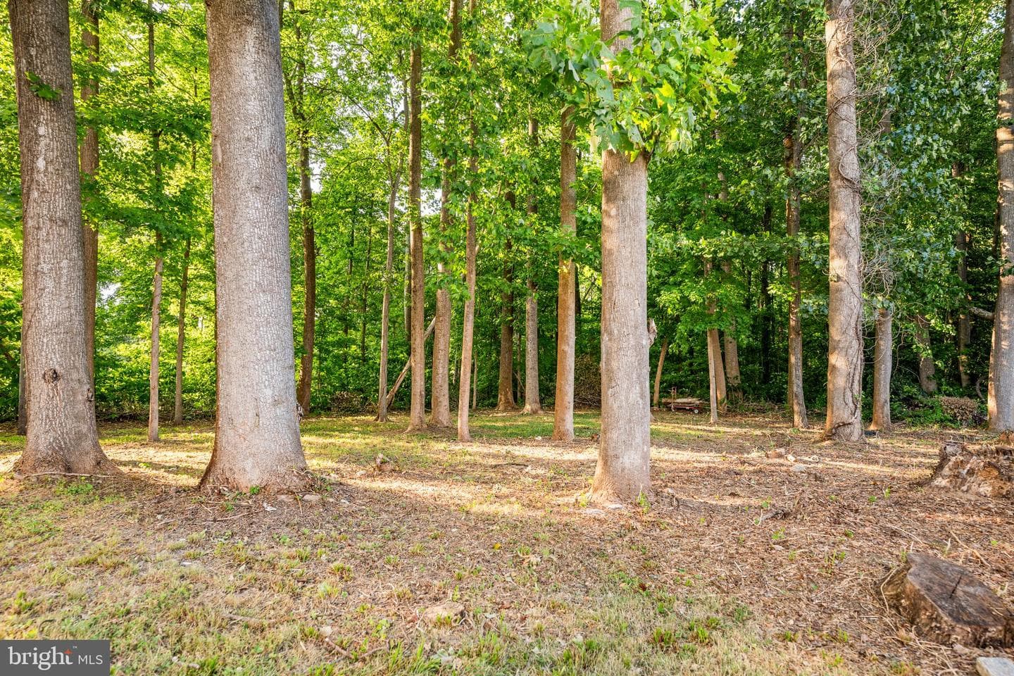 11304 Bennington Drive photo 36