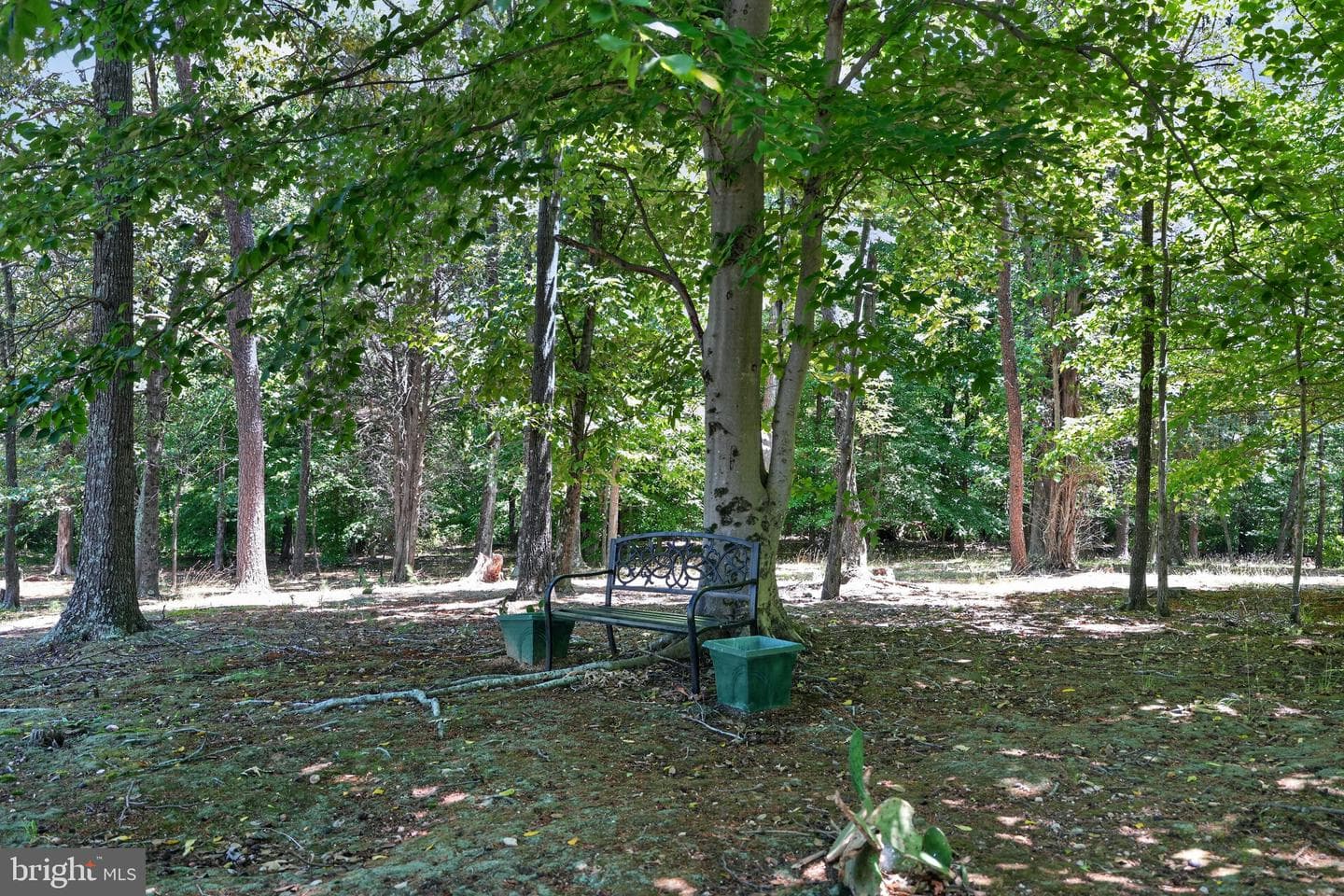 4216 Steeds Grant Way photo 49