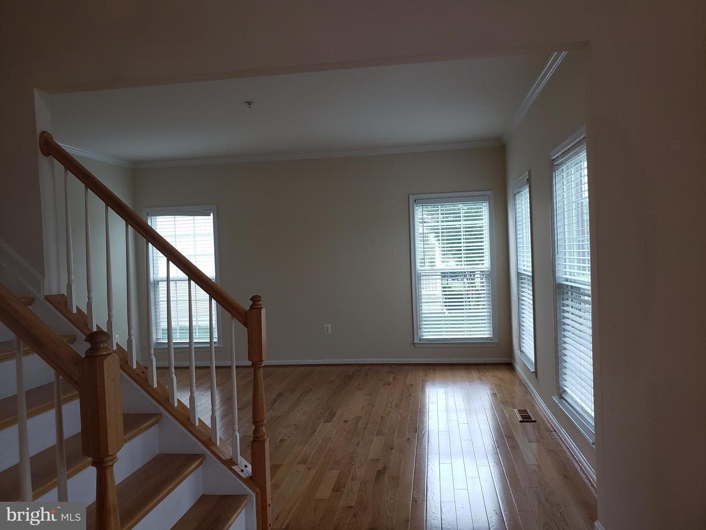 7406 White Plains Lane photo 22