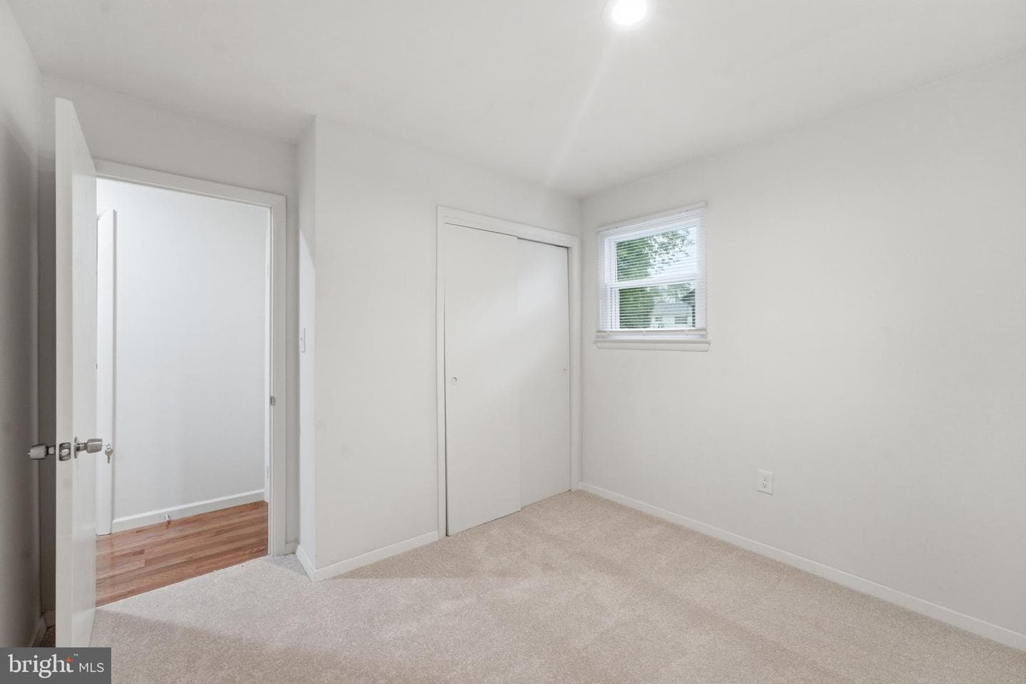 1404 Woodlark Dr photo 53