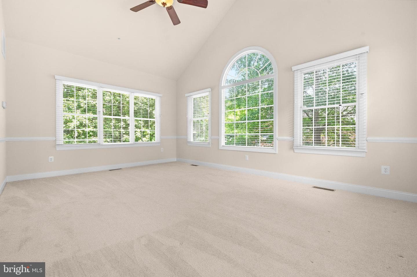8302 Condy Court photo 20