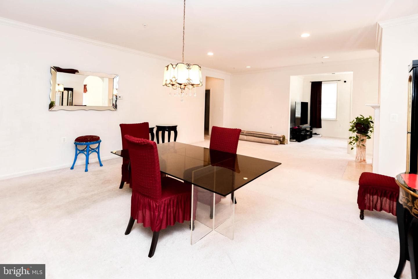 13004 Crocker Place photo 29