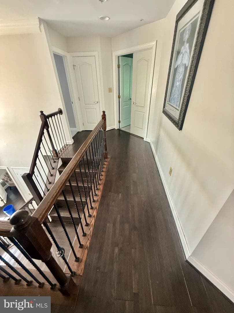 11912 Shadystone Terrace photo 21