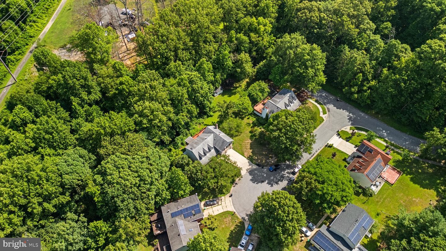 13002 Pine Court photo 46
