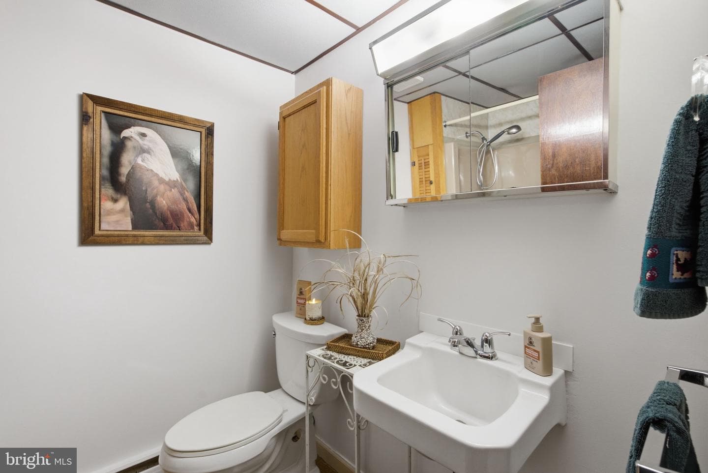 4208 Howard Road photo 27