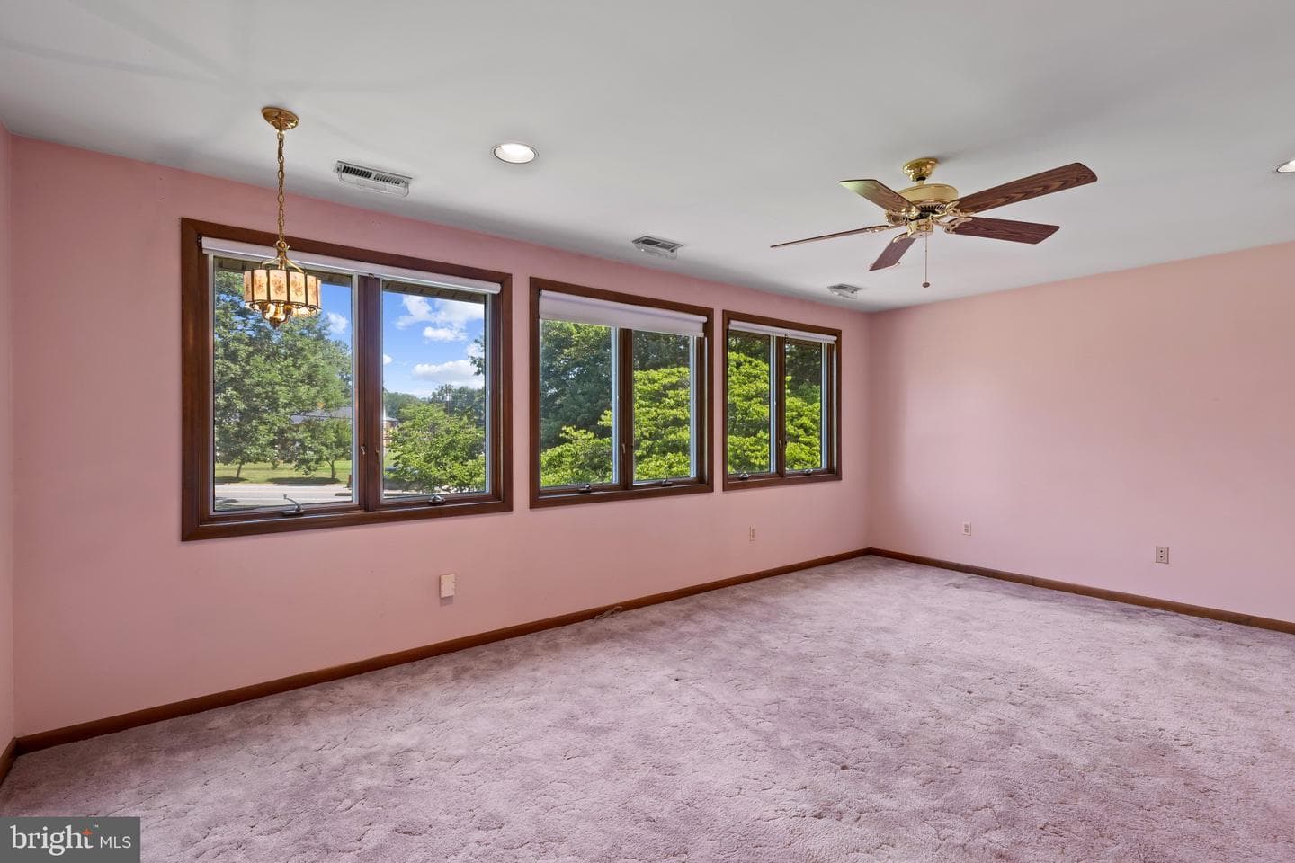 7517 Brooklyn Bridge Road photo 19