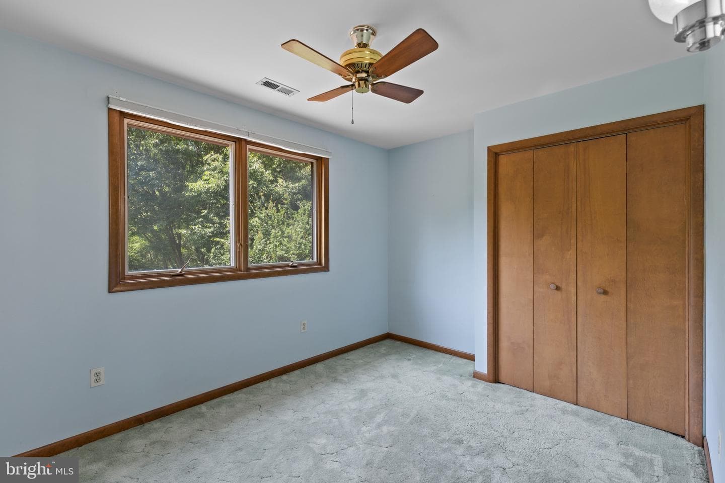 7517 Brooklyn Bridge Road photo 23