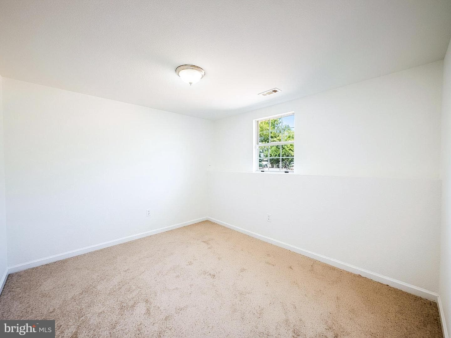 3806 Cricket Avenue photo 13