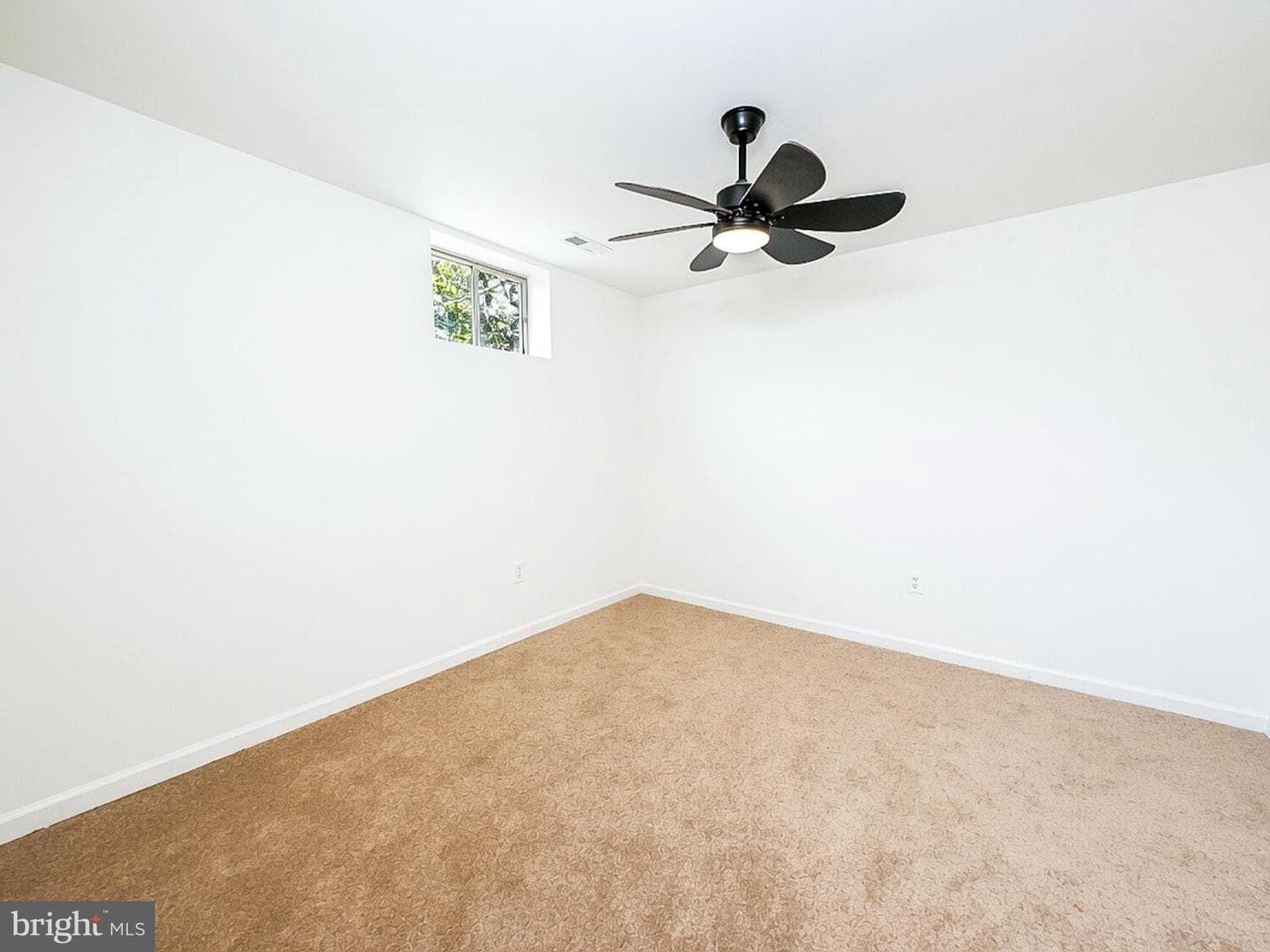 3806 Cricket Avenue photo 18