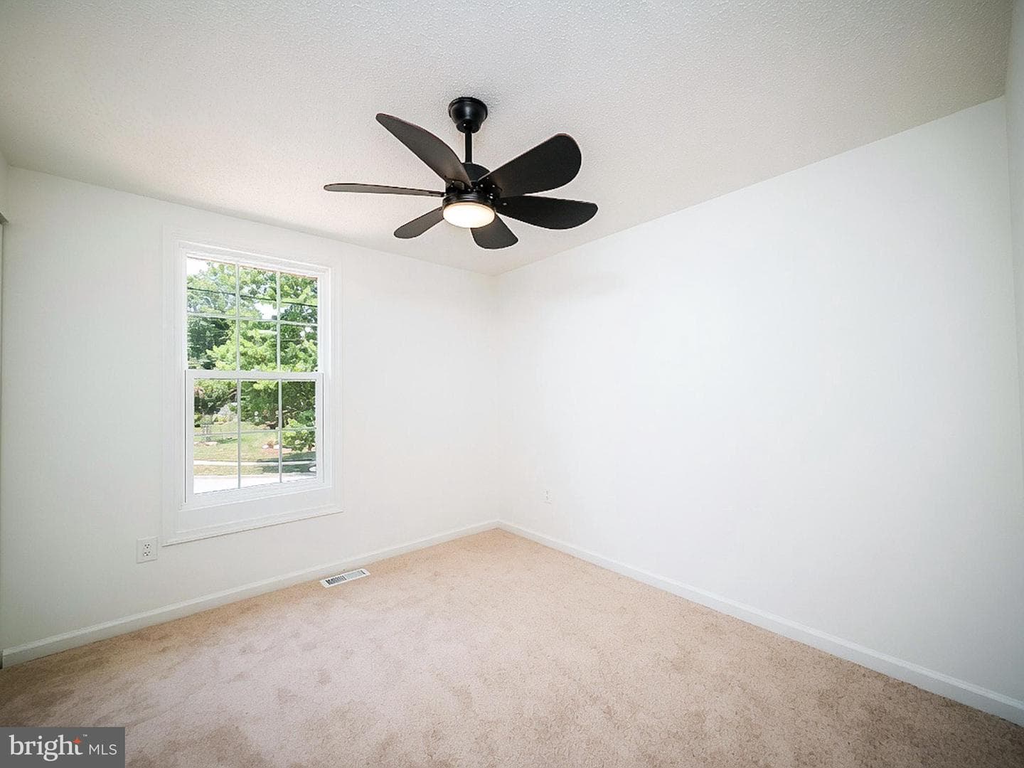 3806 Cricket Avenue photo 19