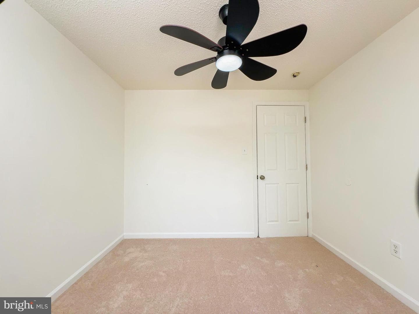 3806 Cricket Avenue photo 25