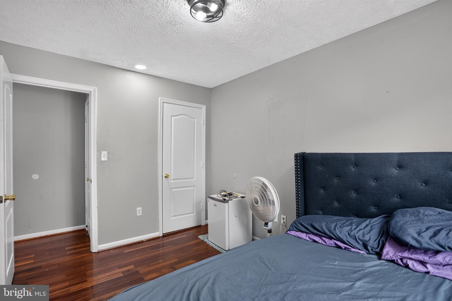 9703 Reiker Drive photo 21