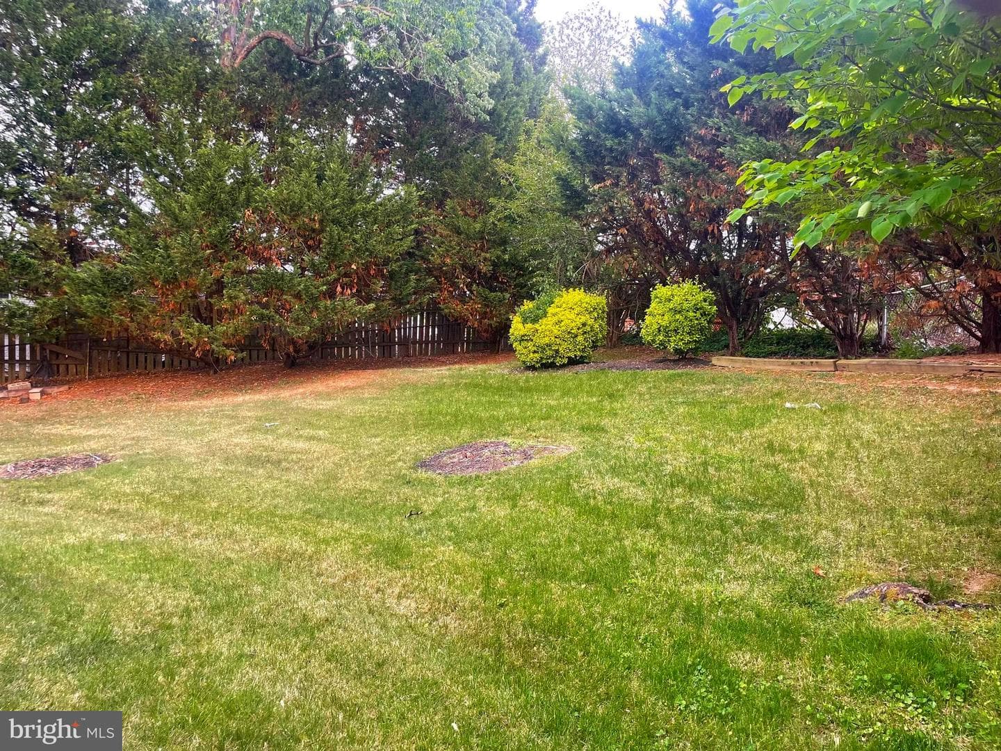 11007 Phillips Dr photo 22