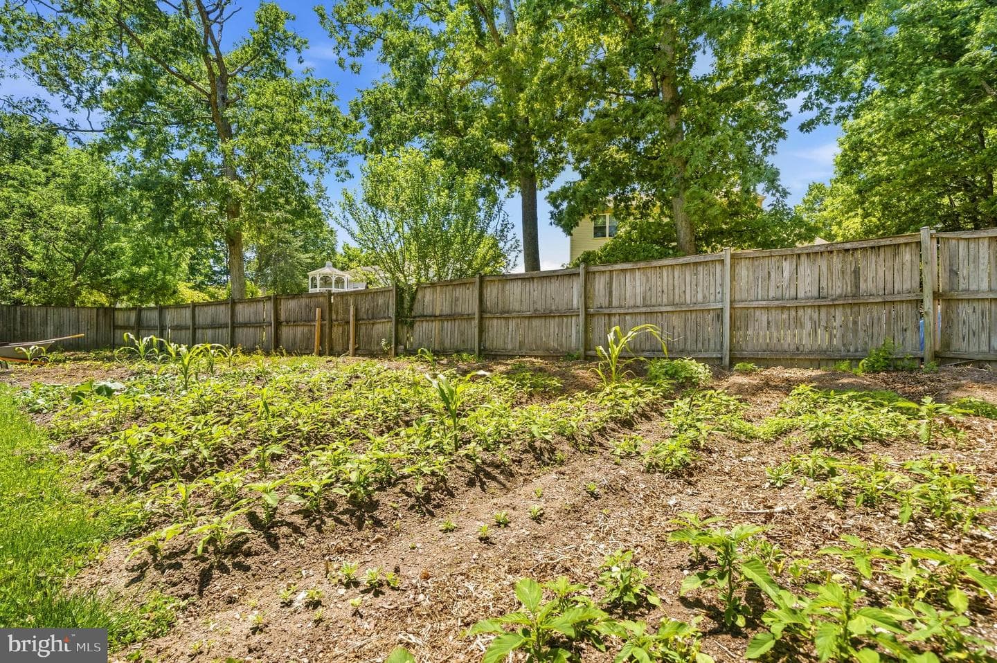 8707 Delphi Drive photo 27