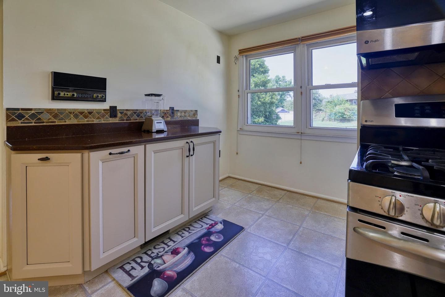331 Alastair Street photo 10