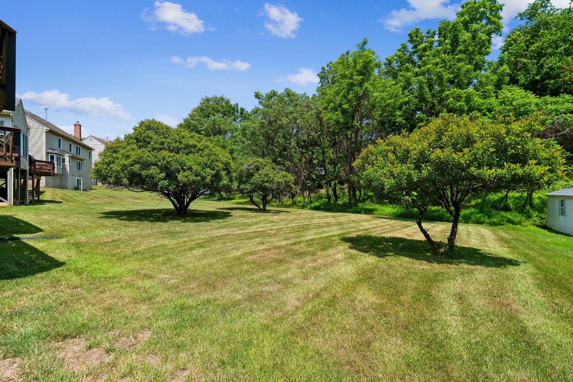 9505 Bald Hill photo 6
