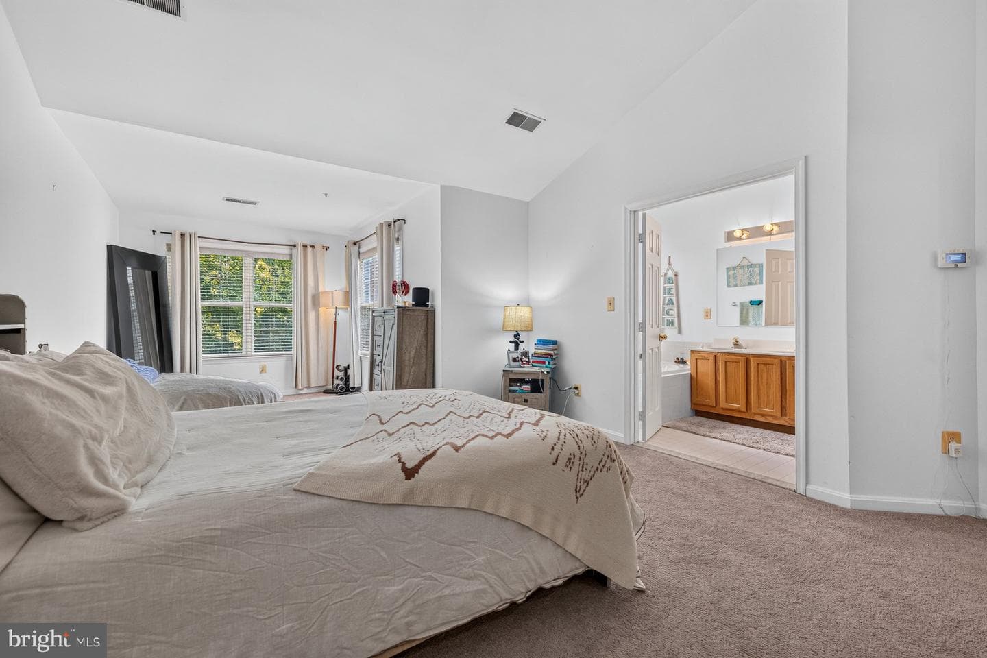 10209 Balsam Poplar Place photo 16