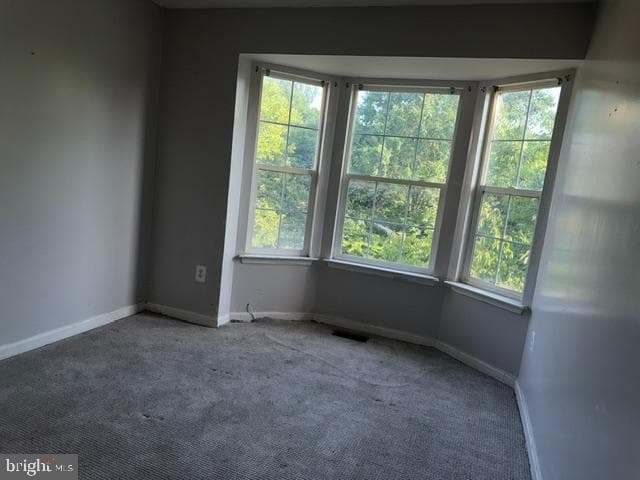12119 Sutton Lane photo 18