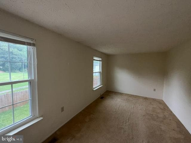 11343 Joyceton Drive photo 10