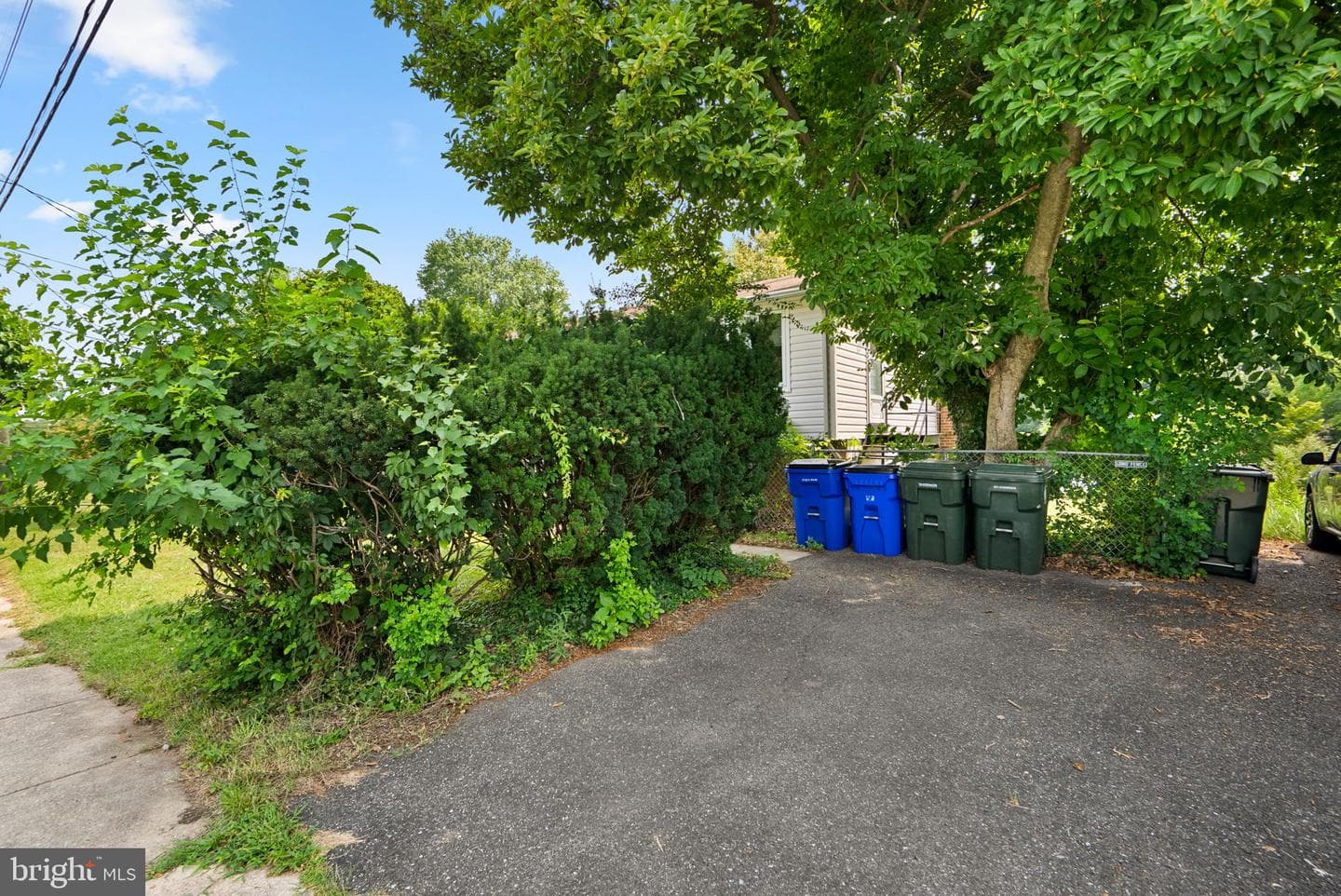 8813 Patricia Court photo 3