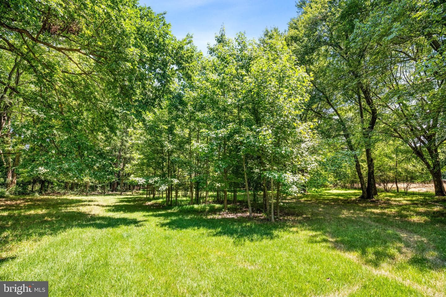 6510 Horseshoe Road photo 38