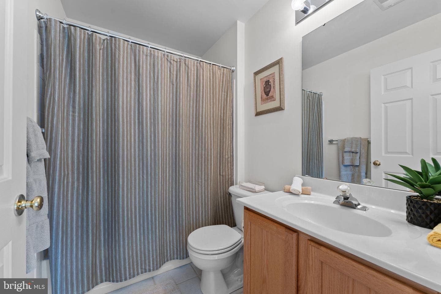 1005 Andean Goose Way photo 30