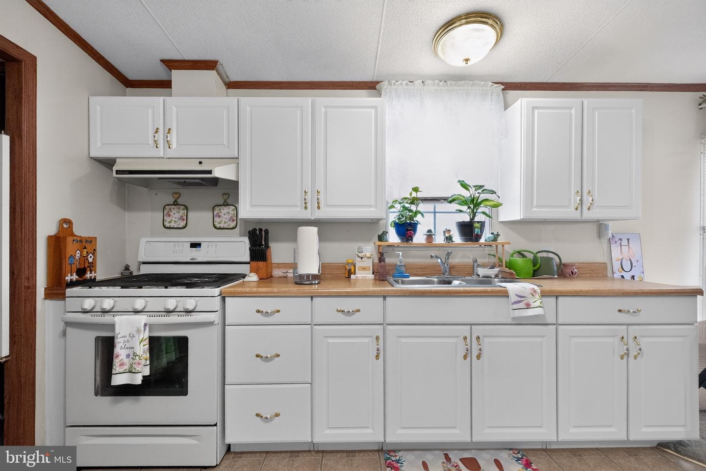 9413 Gumtree Park Street photo 13
