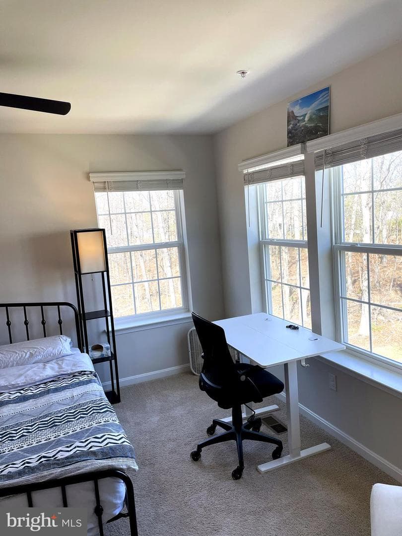 6510 Spoonbill Way photo 33